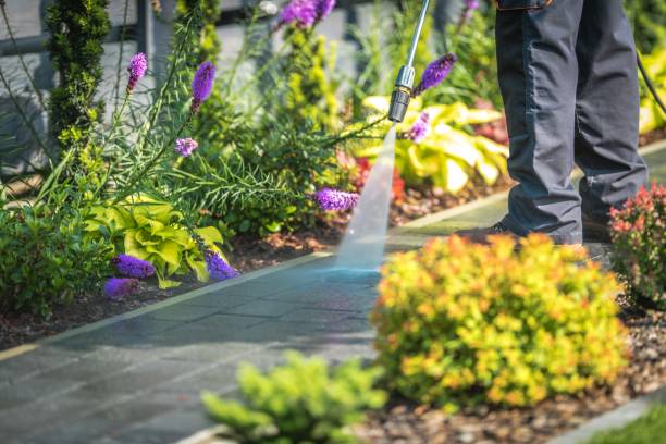 Best Parking Lot and Garage Cleaning  in Grangeville, ID